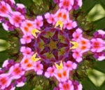  Kaleidoscope