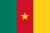 Cameroon flag effect